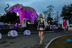 BIB: 
                            <button type="button" onclick="openModal(26529673)" class="btn btn-primary btn-sm float-right btn-popup" data-toggle="modal" data-target=".modal-high-quality">
                        <i class="fas fa-shopping-cart"></i> Add to Cart
                    </button>
                                            <button type="button" onclick="isThisMe(26529673, true)" class="btn btn-success btn-sm float-right btn-popup btn-isme hidden" data-toggle="tooltip" data-placement="bottom" title="นี่คือรูปของคุณใช่ไหม คลิกที่นี่เพื่อเอาเข้าอัลบั้ม">
                        <i class="fas fa-plus"></i> Add to album
                    </button>
                    <button type="button" onclick="isThisMe(26529673, false)" class="btn btn-warning btn-sm float-right btn-popup btn-isnotme hidden">
                        <i class="fas fa-ban"></i> Remove from album
                    </button>